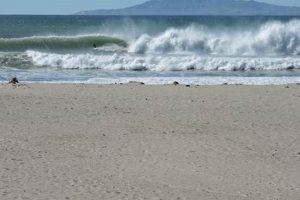 Your Oxnard Surf Report: [Date/Time] Conditions & Forecast | Learn to Surf & Skate: A Beginner's Step-by-Step Guide