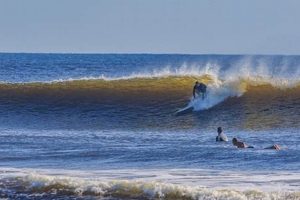 New Smyrna Surf Report: Today's Surf + More! Learn to Surf & Skate: A Beginner's Step-by-Step Guide New Smyrna Surf Report: Today's Surf + More! | Learn to Surf & Skate: A Beginner's Step-by-Step Guide