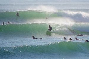Your C Street Surf Report: [Live] Today's Waves & More | Learn to Surf & Skate: A Beginner's Step-by-Step Guide