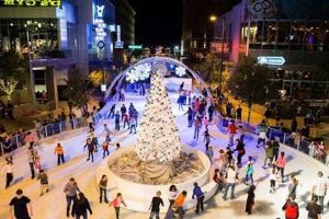 Phoenix City Skate Ice Rink: Fun on Ice! Safem Fabrication - Precision Engineering & Custom Manufacturing Solutions Phoenix City Skate Ice Rink: Fun on Ice! | Safem Fabrication - Precision Engineering & Custom Manufacturing Solutions