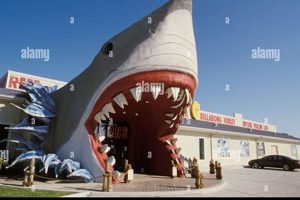 Your Guide: Best Surf Shops in Corpus Christi, TX Safem Fabrication - Precision Engineering & Custom Manufacturing Solutions Your Guide: Best Surf Shops in Corpus Christi, TX | Safem Fabrication - Precision Engineering & Custom Manufacturing Solutions