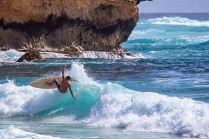 Kauai Surf Report: Best Waves & Conditions Now! Learn to Surf & Skate: A Beginner's Step-by-Step Guide Kauai Surf Report: Best Waves & Conditions Now! | Learn to Surf & Skate: A Beginner's Step-by-Step Guide