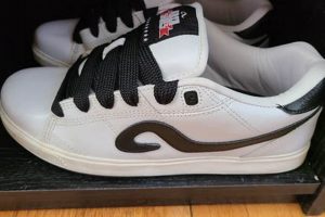 Remembering Adios Skate Shoes: A Skater's Lost Gem? Safem Fabrication - Precision Engineering & Custom Manufacturing Solutions Remembering Adios Skate Shoes: A Skater's Lost Gem? | Safem Fabrication - Precision Engineering & Custom Manufacturing Solutions
