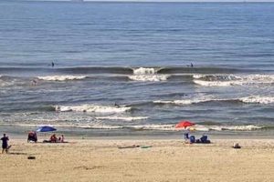 Your Guide to Long Beach Surf Shops in Long Beach, NY! Learn to Surf & Skate: A Beginner's Step-by-Step Guide Your Guide to Long Beach Surf Shops in Long Beach, NY! | Learn to Surf & Skate: A Beginner's Step-by-Step Guide