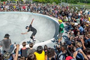 Your Guide to Ann Arbor Skate Shops: Gear & More! Learn to Surf & Skate: A Beginner's Step-by-Step Guide Your Guide to Ann Arbor Skate Shops: Gear & More! | Learn to Surf & Skate: A Beginner's Step-by-Step Guide