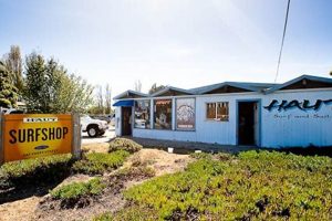 Your Guide: Best Surf Shops in Santa Cruz, CA - Deals Inside! Learn to Surf & Skate: A Beginner's Step-by-Step Guide Your Guide: Best Surf Shops in Santa Cruz, CA - Deals Inside! | Learn to Surf & Skate: A Beginner's Step-by-Step Guide