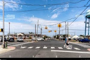 Surf City Long Beach Island: Your LBI Surf Guide Learn to Surf & Skate: A Beginner's Step-by-Step Guide Surf City Long Beach Island: Your LBI Surf Guide | Learn to Surf & Skate: A Beginner's Step-by-Step Guide