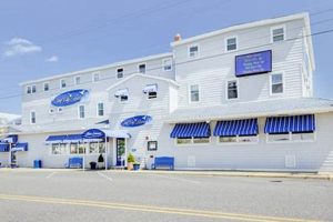 Surf City Hotel NJ: Beachfront Stays & Deals Learn to Surf & Skate: A Beginner's Step-by-Step Guide Surf City Hotel NJ: Beachfront Stays & Deals | Learn to Surf & Skate: A Beginner's Step-by-Step Guide