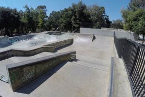 Your Guide to San Jose Skate Parks: Locations & More! Learn to Surf & Skate: A Beginner's Step-by-Step Guide Your Guide to San Jose Skate Parks: Locations & More! | Learn to Surf & Skate: A Beginner's Step-by-Step Guide