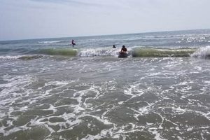 Your Daily South Padre Surf Report: Waves & Tides Learn to Surf & Skate: A Beginner's Step-by-Step Guide Your Daily South Padre Surf Report: Waves & Tides | Learn to Surf & Skate: A Beginner's Step-by-Step Guide