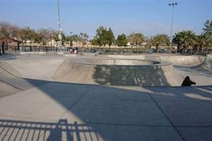 Explore Heritage Skate Parks: History on Wheels! Learn to Surf & Skate: A Beginner's Step-by-Step Guide Explore Heritage Skate Parks: History on Wheels! | Learn to Surf & Skate: A Beginner's Step-by-Step Guide