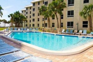 Discover Sarasota Racquet & Surf Club: Your Fitness Escape Learn to Surf & Skate: A Beginner's Step-by-Step Guide Discover Sarasota Racquet & Surf Club: Your Fitness Escape | Learn to Surf & Skate: A Beginner's Step-by-Step Guide