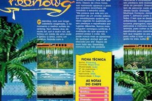 Decoding the Beached Surfer Dude: Culture &amp; [City, State] Surf Beaches | Learn to Surf & Skate: A Beginner's Step-by-Step Guide