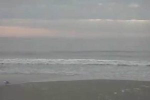 Live Tybee Island Surf Cam: View Beach Conditions Online Learn to Surf & Skate: A Beginner's Step-by-Step Guide Live Tybee Island Surf Cam: View Beach Conditions Online | Learn to Surf & Skate: A Beginner's Step-by-Step Guide