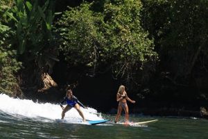 Book Now: Surf Lessons Costa Rica - Best Waves! Learn to Surf & Skate: A Beginner's Step-by-Step Guide Book Now: Surf Lessons Costa Rica - Best Waves! | Learn to Surf & Skate: A Beginner's Step-by-Step Guide