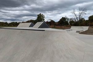 Buffalo Skate Parks: Your Guide to Shredding Learn to Surf & Skate: A Beginner's Step-by-Step Guide Buffalo Skate Parks: Your Guide to Shredding | Learn to Surf & Skate: A Beginner's Step-by-Step Guide