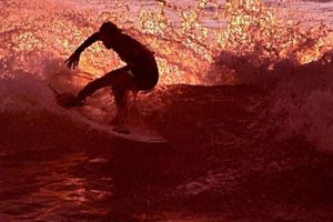 Pismo Beach Surf Forecast: Updated Conditions & Trends Learn to Surf & Skate: A Beginner's Step-by-Step Guide Pismo Beach Surf Forecast: Updated Conditions & Trends | Learn to Surf & Skate: A Beginner's Step-by-Step Guide