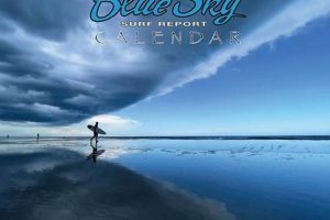 [Analysis] Blue Sky Surf Shop Report: Key Findings + Insights | Learn to Surf & Skate: A Beginner's Step-by-Step Guide