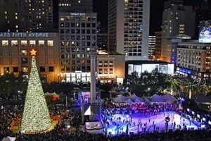 Top SF Ice Skate [Gear & Guide] Near You! | Learn to Surf & Skate: A Beginner's Step-by-Step Guide