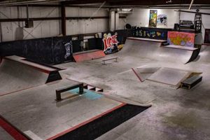 Local Hive Skate Shop: Your Skateboarding HQ Learn to Surf & Skate: A Beginner's Step-by-Step Guide Local Hive Skate Shop: Your Skateboarding HQ | Learn to Surf & Skate: A Beginner's Step-by-Step Guide