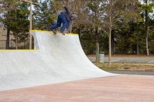 Explore Renaissance Park Skate Park: Your Ultimate Guide Learn to Surf & Skate: A Beginner's Step-by-Step Guide Explore Renaissance Park Skate Park: Your Ultimate Guide | Learn to Surf & Skate: A Beginner's Step-by-Step Guide