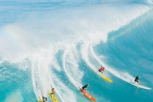 Unleashing the Surfer on Wave: Ride the Swell! Learn to Surf & Skate: A Beginner's Step-by-Step Guide Unleashing the Surfer on Wave: Ride the Swell! | Learn to Surf & Skate: A Beginner's Step-by-Step Guide