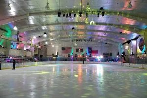 Enjoy Ice Arena Public Skate Fun! Tips & Times Learn to Surf & Skate: A Beginner's Step-by-Step Guide Enjoy Ice Arena Public Skate Fun! Tips & Times | Learn to Surf & Skate: A Beginner's Step-by-Step Guide