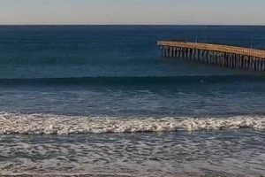 See Surf: Good Clean Fun Surf Cam Views, Now! Learn to Surf & Skate: A Beginner's Step-by-Step Guide See Surf: Good Clean Fun Surf Cam Views, Now! | Learn to Surf & Skate: A Beginner's Step-by-Step Guide