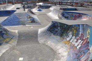 Explore Skate Board Parks Near You: Best Local Spots Learn to Surf & Skate: A Beginner's Step-by-Step Guide Explore Skate Board Parks Near You: Best Local Spots | Learn to Surf & Skate: A Beginner's Step-by-Step Guide