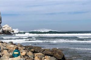 Morro Bay Surf Report: Conditions + Forecast Today Learn to Surf & Skate: A Beginner's Step-by-Step Guide Morro Bay Surf Report: Conditions + Forecast Today | Learn to Surf & Skate: A Beginner's Step-by-Step Guide