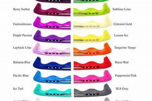 Protect Figure Skates: Best Skate Guards [Guide] | Learn to Surf & Skate: A Beginner's Step-by-Step Guide