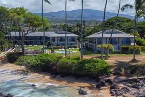 Napili Surf Beach Hotel: Your Maui Surf Getaway Learn to Surf & Skate: A Beginner's Step-by-Step Guide Napili Surf Beach Hotel: Your Maui Surf Getaway | Learn to Surf & Skate: A Beginner's Step-by-Step Guide