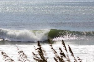 Live Wrightsville Surf Cam: Beach Views & Wave Watch Learn to Surf & Skate: A Beginner's Step-by-Step Guide Live Wrightsville Surf Cam: Beach Views & Wave Watch | Learn to Surf & Skate: A Beginner's Step-by-Step Guide