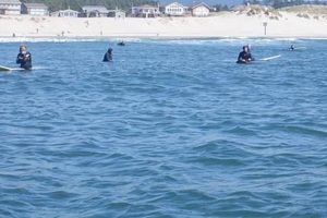 Your Pacific City Oregon Surf Report: Conditions & Forecast Safem Fabrication - Precision Engineering & Custom Manufacturing Solutions Your Pacific City Oregon Surf Report: Conditions & Forecast | Safem Fabrication - Precision Engineering & Custom Manufacturing Solutions