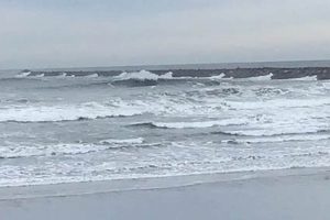 Your Westport WA Surf Report: Waves & Tides Now Learn to Surf & Skate: A Beginner's Step-by-Step Guide Your Westport WA Surf Report: Waves & Tides Now | Learn to Surf & Skate: A Beginner's Step-by-Step Guide
