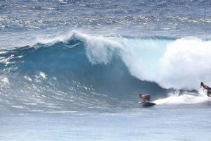 Your Makapu'u Surf Report: Waves Now & Tomorrow! Learn to Surf & Skate: A Beginner's Step-by-Step Guide Your Makapu'u Surf Report: Waves Now & Tomorrow! | Learn to Surf & Skate: A Beginner's Step-by-Step Guide