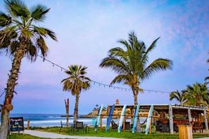 Cerritos Surf Town Hotel: Beach, Spa & Surf's Up! Learn to Surf & Skate: A Beginner's Step-by-Step Guide Cerritos Surf Town Hotel: Beach, Spa & Surf's Up! | Learn to Surf & Skate: A Beginner's Step-by-Step Guide