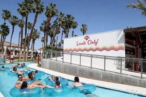 Experience Palm Spring Surf Club: Desert Wave Oasis Learn to Surf & Skate: A Beginner's Step-by-Step Guide Experience Palm Spring Surf Club: Desert Wave Oasis | Learn to Surf & Skate: A Beginner's Step-by-Step Guide