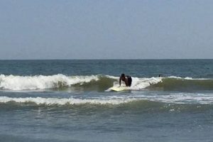 Surf's Up! Ocean City NJ Surf Report - Latest Conditions Learn to Surf & Skate: A Beginner's Step-by-Step Guide Surf's Up! Ocean City NJ Surf Report - Latest Conditions | Learn to Surf & Skate: A Beginner's Step-by-Step Guide