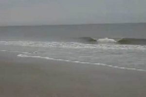 Your Tybee Surf Report Now: Waves & Conditions Learn to Surf & Skate: A Beginner's Step-by-Step Guide Your Tybee Surf Report Now: Waves & Conditions | Learn to Surf & Skate: A Beginner's Step-by-Step Guide