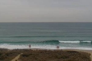 Live Crystal Pier Surf Cam: Check Surf Conditions Now! Learn to Surf & Skate: A Beginner's Step-by-Step Guide Live Crystal Pier Surf Cam: Check Surf Conditions Now! | Learn to Surf & Skate: A Beginner's Step-by-Step Guide