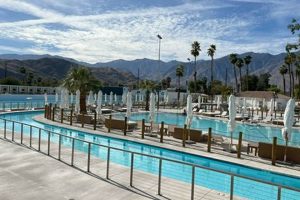 Your Ultimate Surf Club Palm Springs Guide Learn to Surf & Skate: A Beginner's Step-by-Step Guide Your Ultimate Surf Club Palm Springs Guide | Learn to Surf & Skate: A Beginner's Step-by-Step Guide