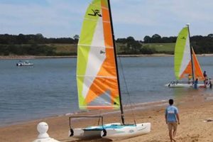Nantucket Surf Shop Guide: Find the Best Gear & Lessons Learn to Surf & Skate: A Beginner's Step-by-Step Guide Nantucket Surf Shop Guide: Find the Best Gear & Lessons | Learn to Surf & Skate: A Beginner's Step-by-Step Guide