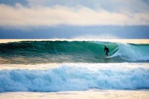 Venice Beach Surf: Today's Conditions & Forecast Learn to Surf & Skate: A Beginner's Step-by-Step Guide Venice Beach Surf: Today's Conditions & Forecast | Learn to Surf & Skate: A Beginner's Step-by-Step Guide