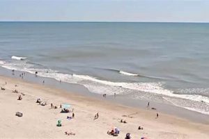 Surf Conditions Myrtle Beach Learn to Surf & Skate: A Beginner's Step-by-Step Guide Surf Conditions Myrtle Beach | Learn to Surf & Skate: A Beginner's Step-by-Step Guide