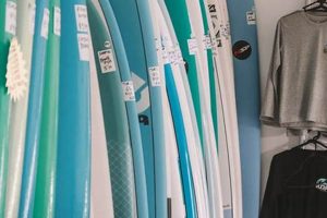 Find Your Wave: Best Surf Shop Auckland Guide Learn to Surf & Skate: A Beginner's Step-by-Step Guide Find Your Wave: Best Surf Shop Auckland Guide | Learn to Surf & Skate: A Beginner's Step-by-Step Guide