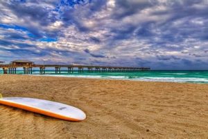 Your Guide to Beach and Surf Bliss: Waves & More Learn to Surf & Skate: A Beginner's Step-by-Step Guide Your Guide to Beach and Surf Bliss: Waves & More | Learn to Surf & Skate: A Beginner's Step-by-Step Guide