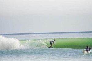 Delray Beach Surf: Accurate Forecast + Tips [Updated] | Learn to Surf & Skate: A Beginner's Step-by-Step Guide