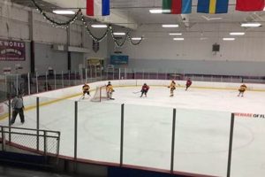 Discover Ice Works Aston Public Skate | Fun & Fitness! Learn to Surf & Skate: A Beginner's Step-by-Step Guide Discover Ice Works Aston Public Skate | Fun & Fitness! | Learn to Surf & Skate: A Beginner's Step-by-Step Guide