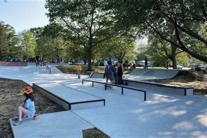 Best Portland Skate Park: Your Local Guide Learn to Surf & Skate: A Beginner's Step-by-Step Guide Best Portland Skate Park: Your Local Guide | Learn to Surf & Skate: A Beginner's Step-by-Step Guide